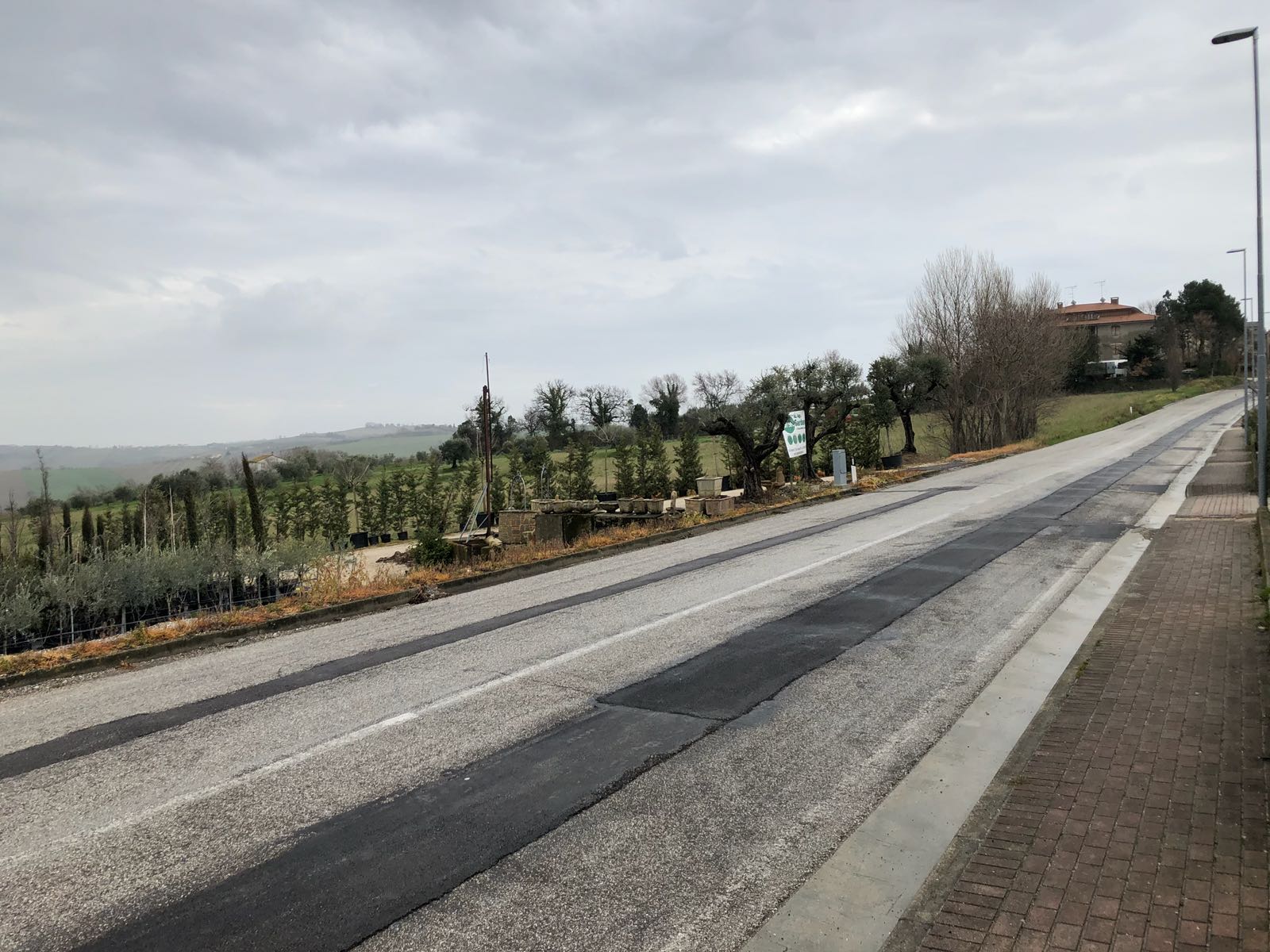 foto ingresso del vivaio - green garden pesaro foto ingresso del vivaio - green garden pesaro