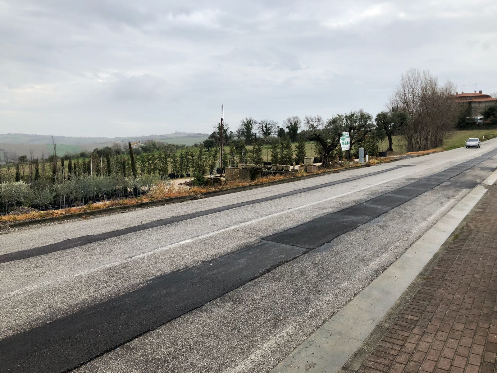 foto ingresso della sede green garden pesaro foto ingresso della sede green garden pesaro