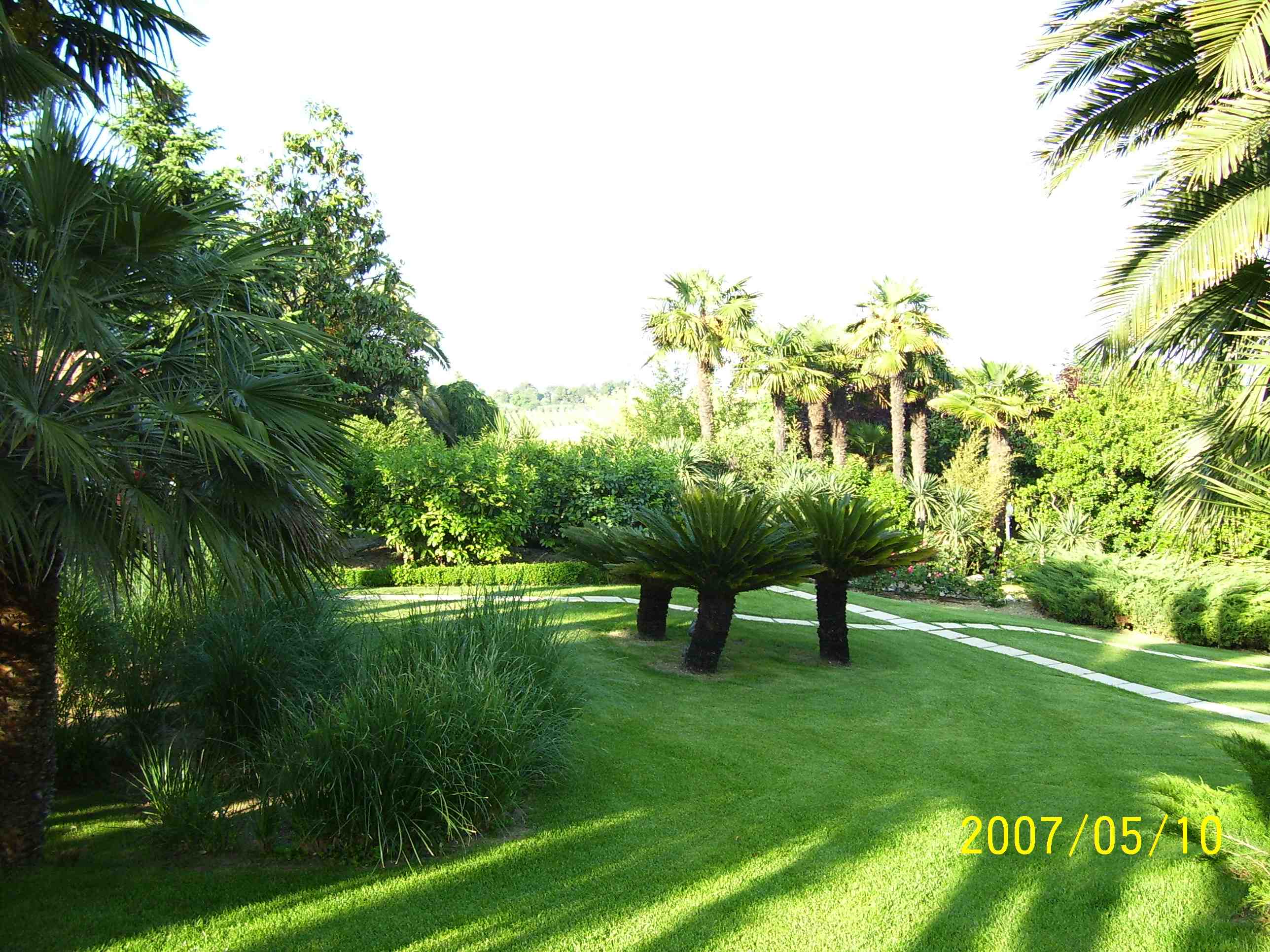 Altro esempio di giardino con piante ornamentali altro esempio di giardino con piante ornamentali